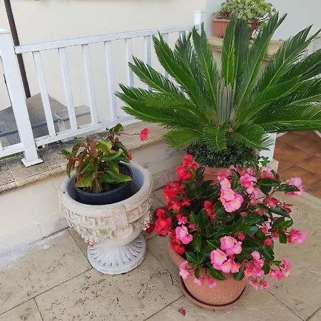 Joy לינה וארוחת בוקר קולפררו