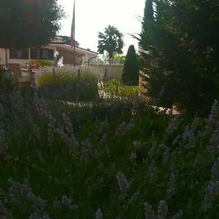 לינה וארוחת בוקר Joy קולפררו