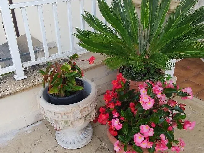 Joy Bed & Breakfast Colleferro