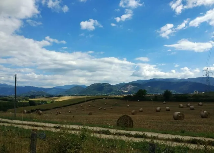 Bed & Breakfast Joy 3*