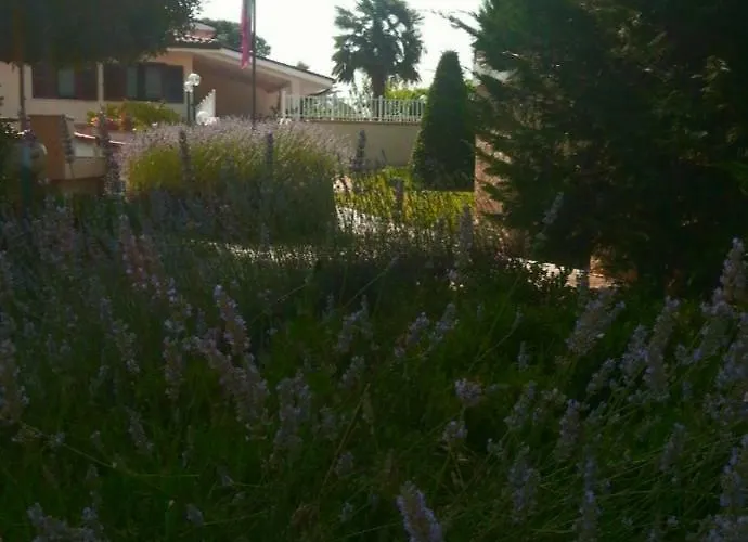 Bed & Breakfast Joy Colleferro